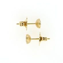 Load image into Gallery viewer, Api Sparkle Oval Studs