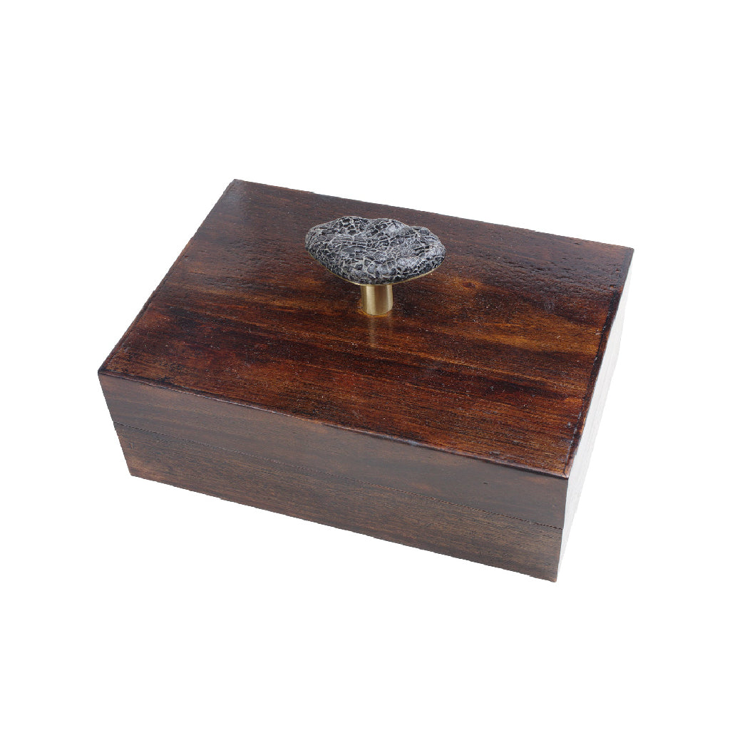 LUNA Pebble Handle Box - Wood