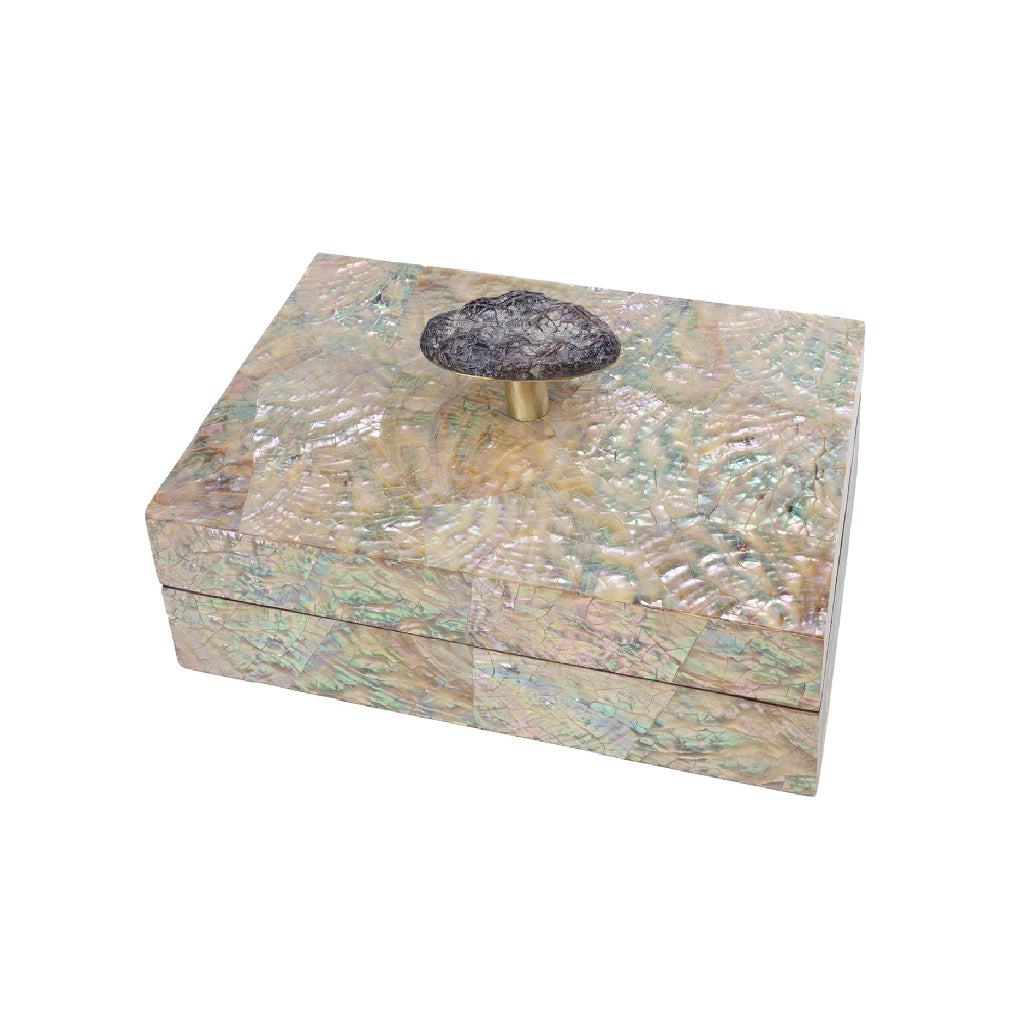 LUNA Pebble Handle Box - Upcycled Abalone