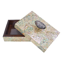 Load image into Gallery viewer, LUNA Pebble Handle Box - Upcycled Abalone
